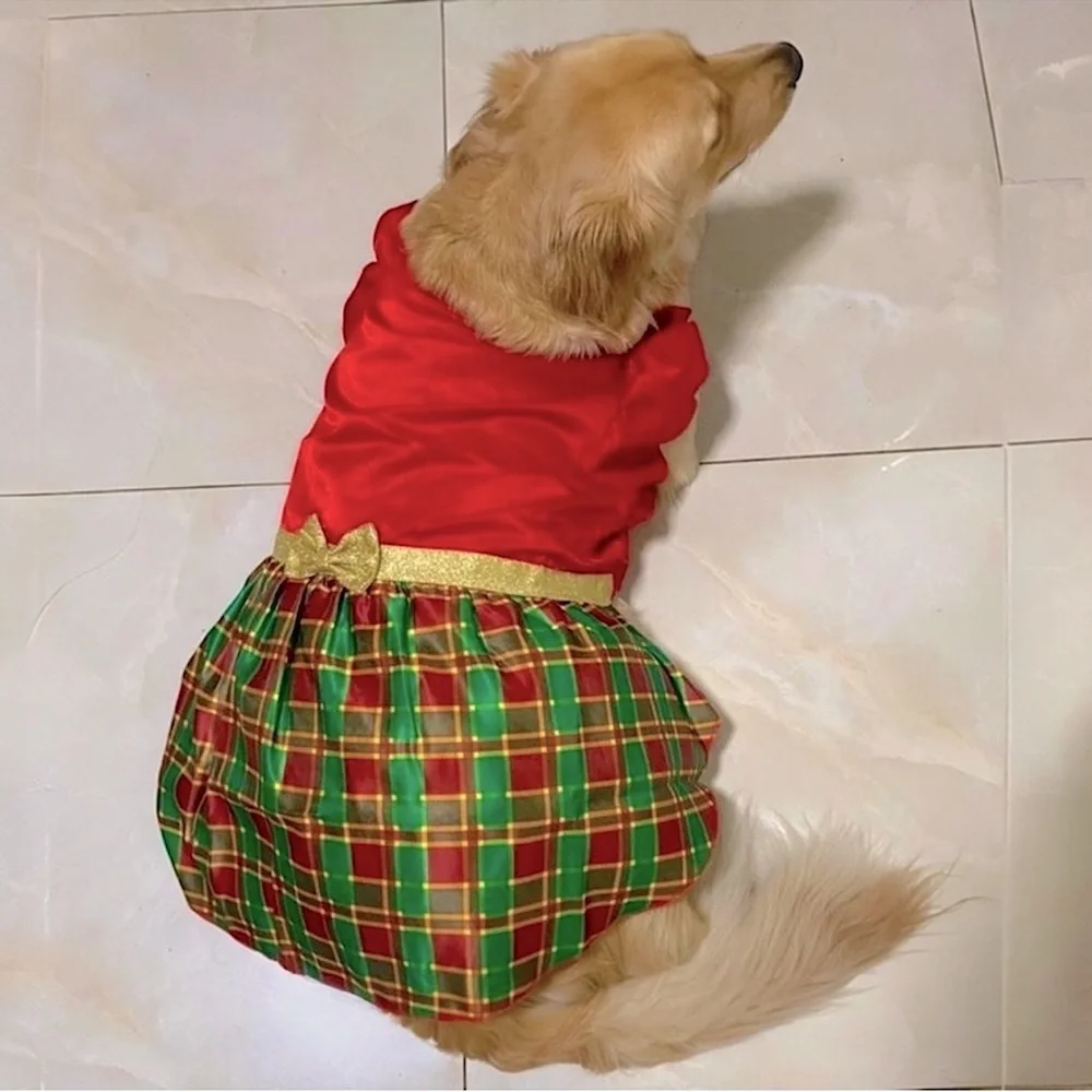 FRISCO Christmas Dog Dress XL Red Green Plaid Gold Bow Holiday NWT 25 - 45 lbs